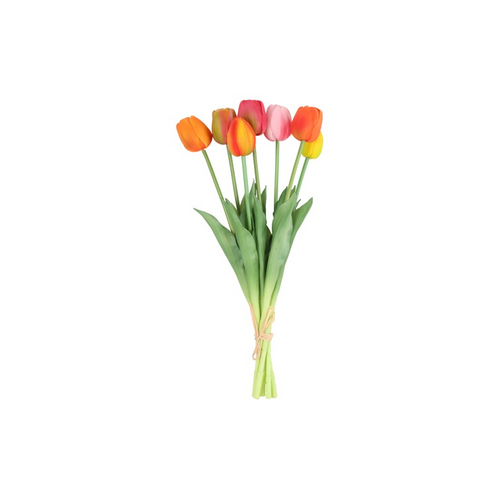 Countryfield Countryfield Tulipa Boeket - Tulpen - Veelkleurig A - 40 cm