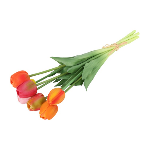 Countryfield Countryfield Tulipa Boeket - Tulpen - Veelkleurig A - 40 cm
