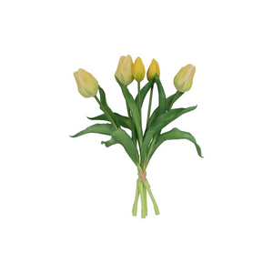 Countryfield Countryfield Tulipa Boeket - Tulpen - Geel - 30 cm