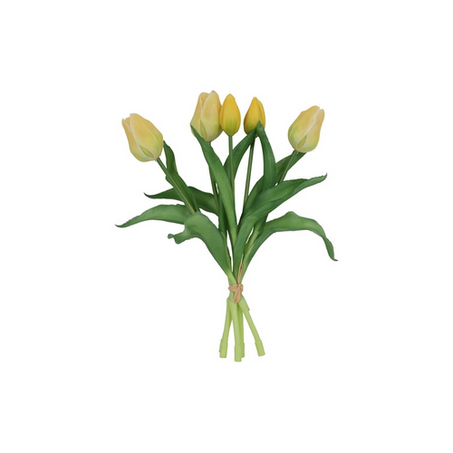 Countryfield Countryfield Tulipa Boeket - Tulpen - Geel - 30 cm