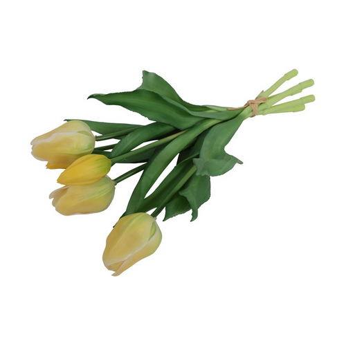 Countryfield Countryfield Tulipa Boeket - Tulpen - Geel - 30 cm