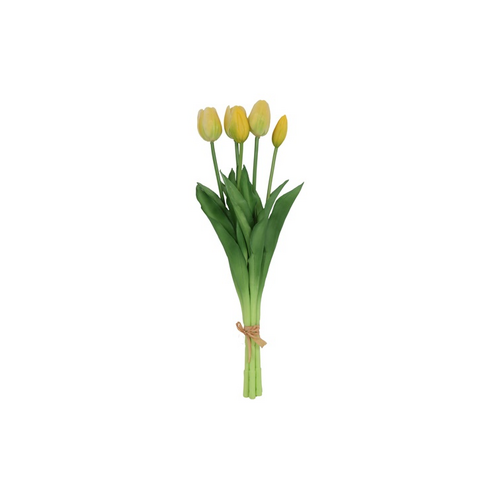 Countryfield Countryfield Tulipa Boeket - Tulpen - Geel - 40 cm