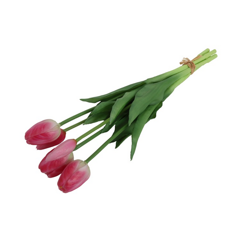 Countryfield Countryfield Tulipa Boeket - Tulpen - Roze/Wit - 40 cm