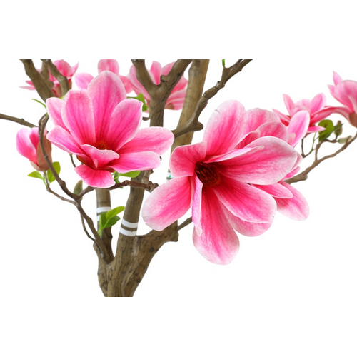 Countryfield Countryfield Kunstplant Magnolia – Roze – Ø50 cm – Hoogte 210 cm