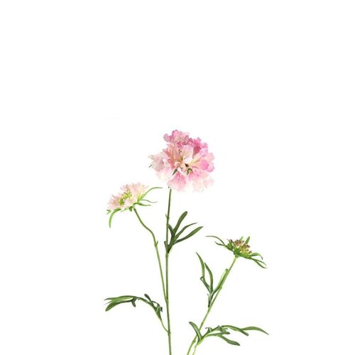 Countryfield Countryfield Artificial Flower Scabiosa - Pink - 74 cm