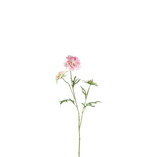 Countryfield Countryfield Artificial Flower Scabiosa - Pink - 74 cm