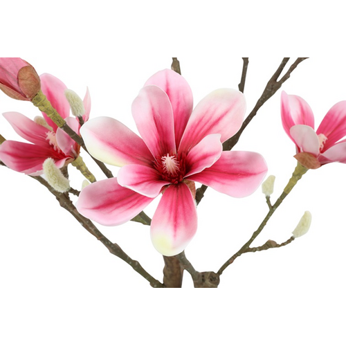 Countryfield Countryfield Kunstplant Magnolia – Wit – Ø35 cm – Hoogte 110 cm Countryfield Countryfield Kunstplant Magnolia – Wit – Ø35 cm – Hoogte 110 cm