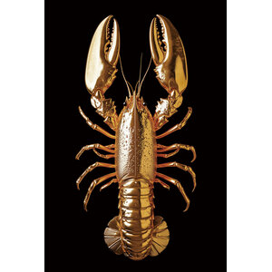 ter Halle Ter Halle Glasschilderij Gouden Kreeft - 80 x 120 cm