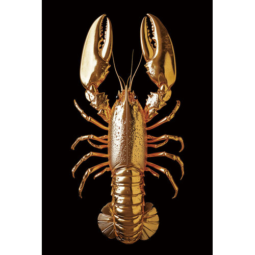 ter Halle Tableau sur verre Ter Halle Homard doré - 80 x 120 cm