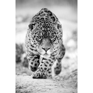 ter Halle Ter Halle Glass Painting Panther Black/White - 80 x 120 cm