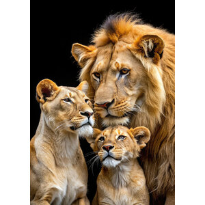 ter Halle Ter Halle Glass Painting Lion Family - 80 x 120 cm