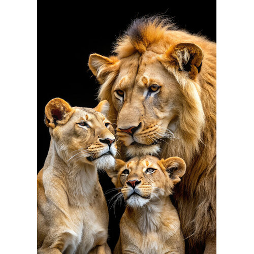 ter Halle Ter Halle Glasmalerei Löwenfamilie - 80 x 120 cm