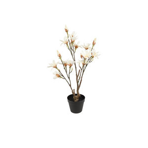 Countryfield Countryfield Kunstpflanze Magnolie – Weiß – Ø 25 cm – Höhe 73 cm Countryfield Countryfield Kunstpflanze Magnolie – Weiß – Ø 25 cm – Höhe 73 cm