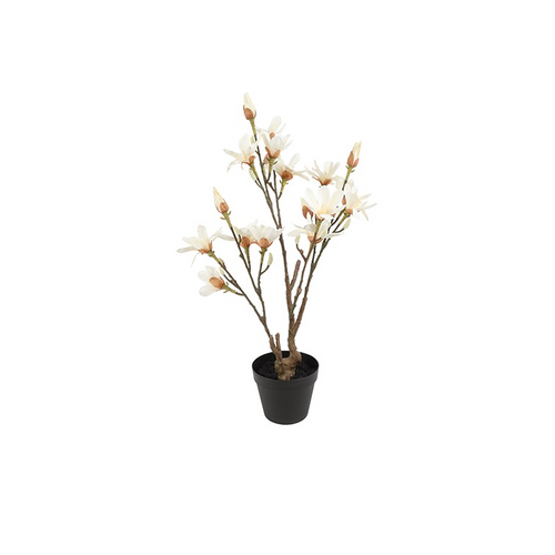 Countryfield Countryfield Kunstpflanze Magnolie – Weiß – Ø 25 cm – Höhe 73 cm Countryfield Countryfield Kunstpflanze Magnolie – Weiß – Ø 25 cm – Höhe 73 cm