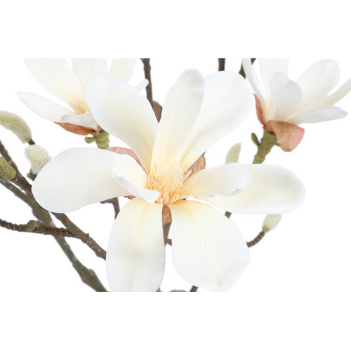 Countryfield Countryfield Kunstpflanze Magnolie – Weiß – Ø 25 cm – Höhe 73 cm Countryfield Countryfield Kunstpflanze Magnolie – Weiß – Ø 25 cm – Höhe 73 cm