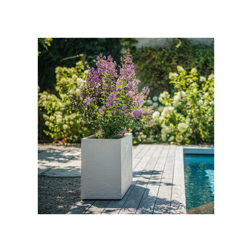EDA EDA Blumenkasten, 116 Liter – 99,5 x 39,5 cm – Höhe 60 cm – Beige