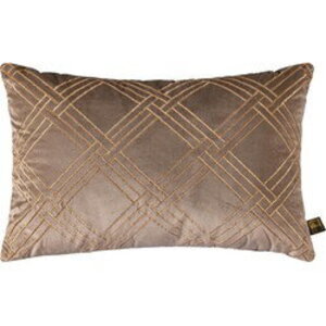 PTMD PTMD Cerine Decorative Cushion Velvet Brown 60x40cm