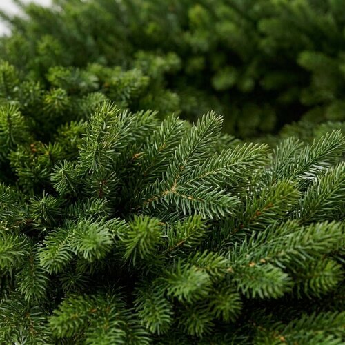 XMS-Trees Corona navideña de jaspe XMS-Trees Ø60 cm - Ignífuga XMS-Trees Corona navideña de jaspe XMS-Trees Ø60 cm - Ignífuga