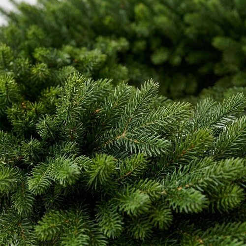 XMS-Trees Corona navideña de jaspe XMS-Trees Ø90 cm - Ignífuga XMS-Trees Corona navideña de jaspe XMS-Trees Ø90 cm - Ignífuga