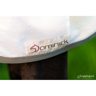 Dominick Flysheet