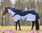 Outdoor rugs