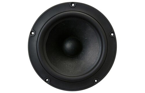 NE180W-04 6-1/2" Woofer