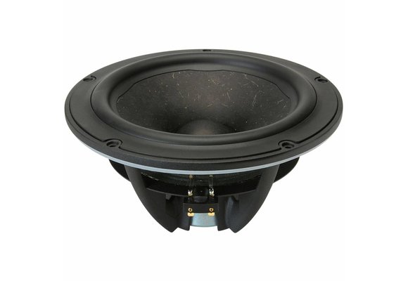NE225W-08 Subwoofer