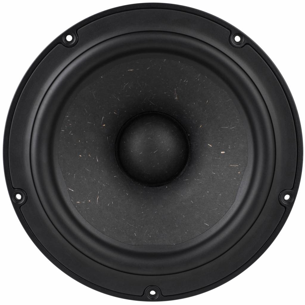 NE225W-04 8" subwoofer