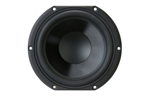 HDS-P830991 5-1/4" GFC Cone HDS Woofer