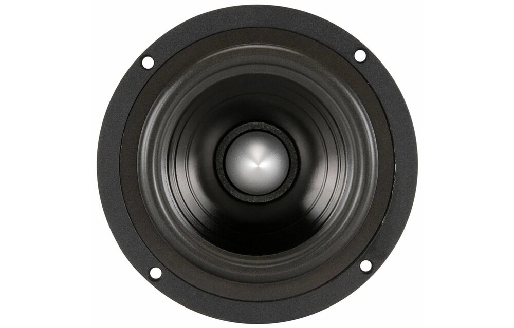 FR135EX 5" Full Range Speaker