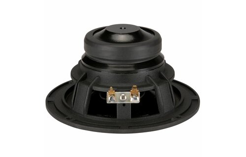 FR135EX 5" Full Range Speaker