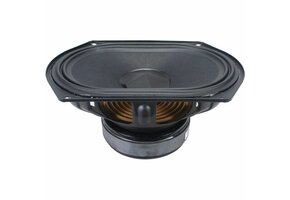 W69-1042J Subwoofer