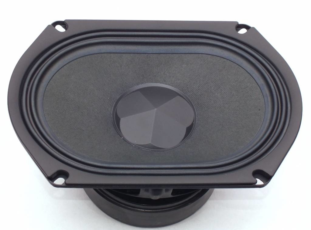 W69-1042J 6"x9" Subwoofer