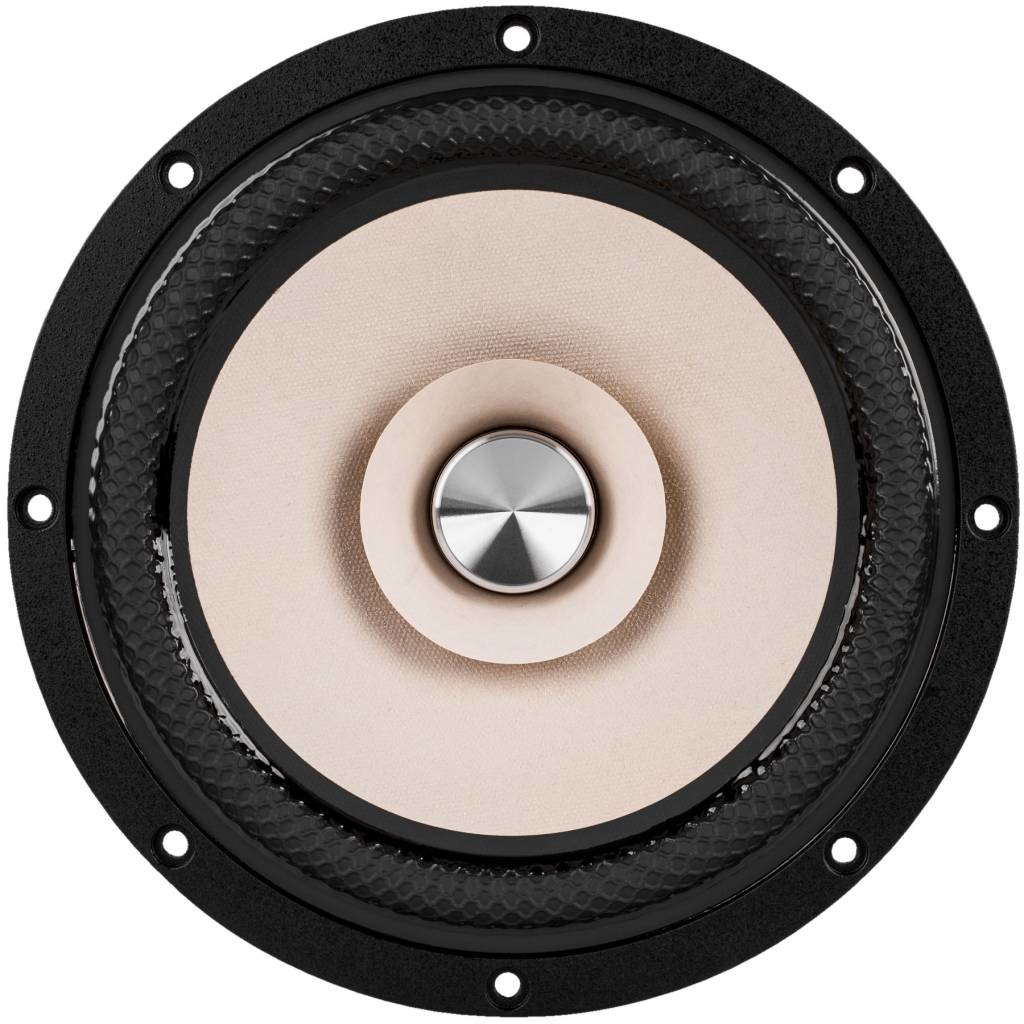 W8-2145 8" Paper Cone Full Range Driver 8 Ohm