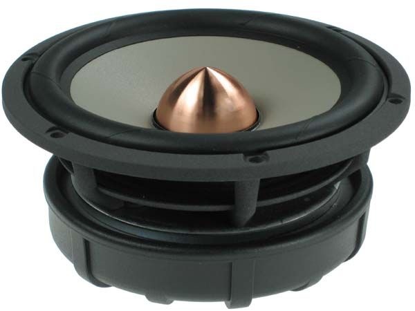 Excel W16NX001 - E0049-08 6" Magnesium Cone Woofer