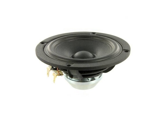 Discovery 10F/8414G10 Full-range Woofer