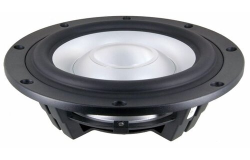 SW26DAC-00 10" Passive Radiator