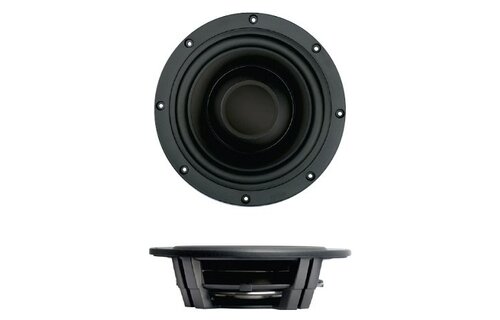 SW26DBAC-00 10'' Passive Radiator