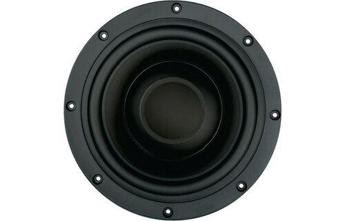 SW26DBAC-00 10'' Passive Radiator