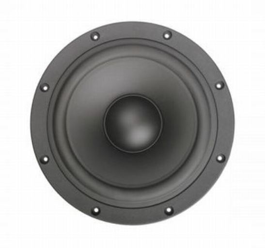 SB29NRX-00 10" Passive Radiator