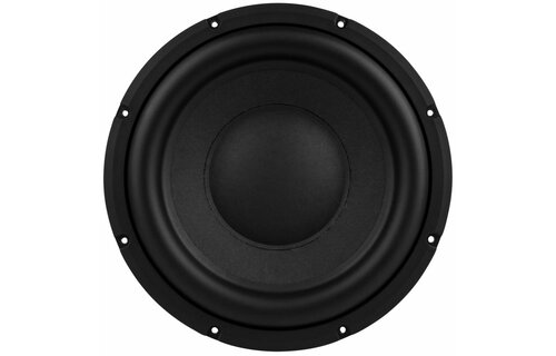 SDF-250F75PR01-06 10" Paper Cone Subwoofer