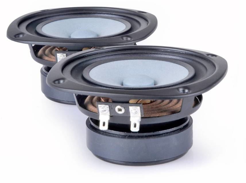 CHN-70 5" Full Range Paper Woofer
