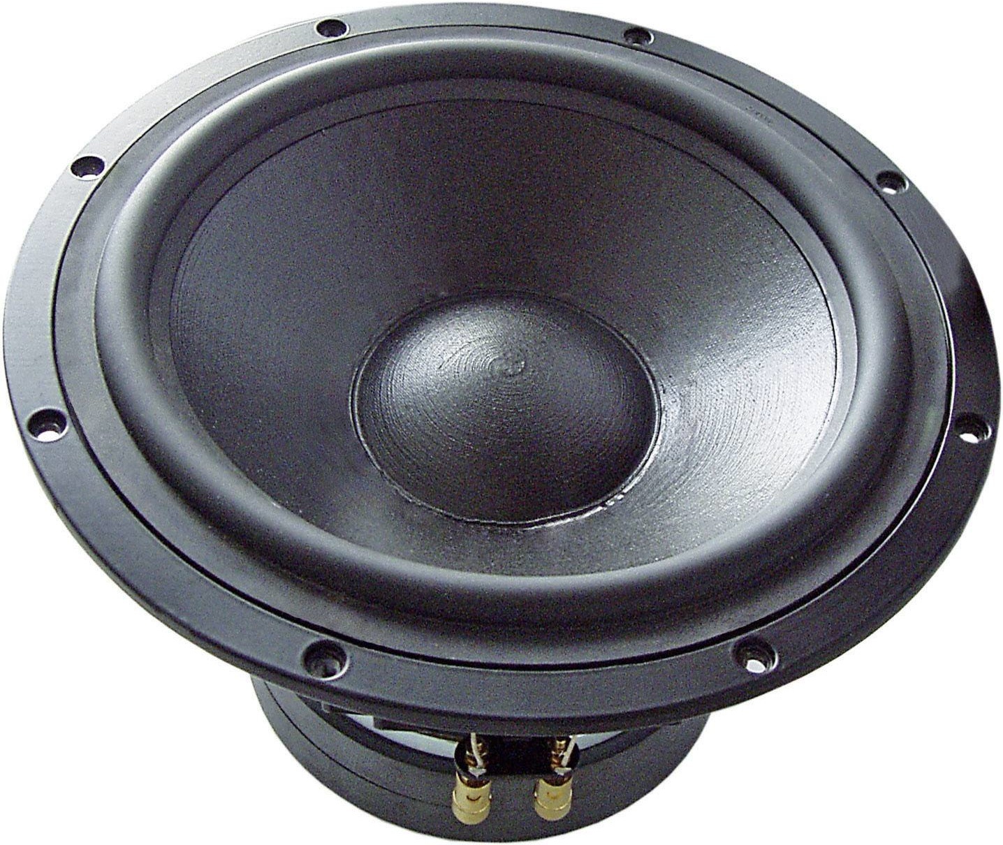 TIW 300 12" High-End Woofer 8 Ohm