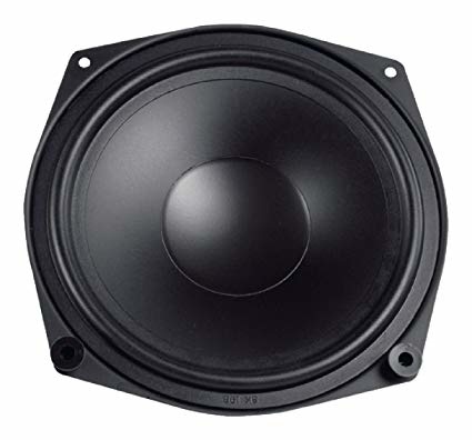 WS 20 E - 8 8" HiFi Woofer 8 Ohm