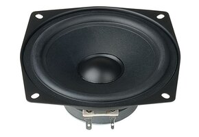 WS 13 E Bass-midwoofer