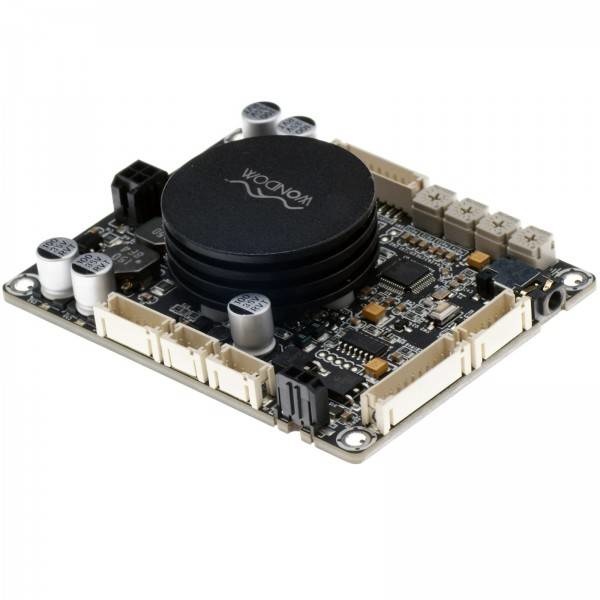 AA-JA31181 1x 100 Watt Class D Audio Amplifier Board with Audio DSP - JAB3-100