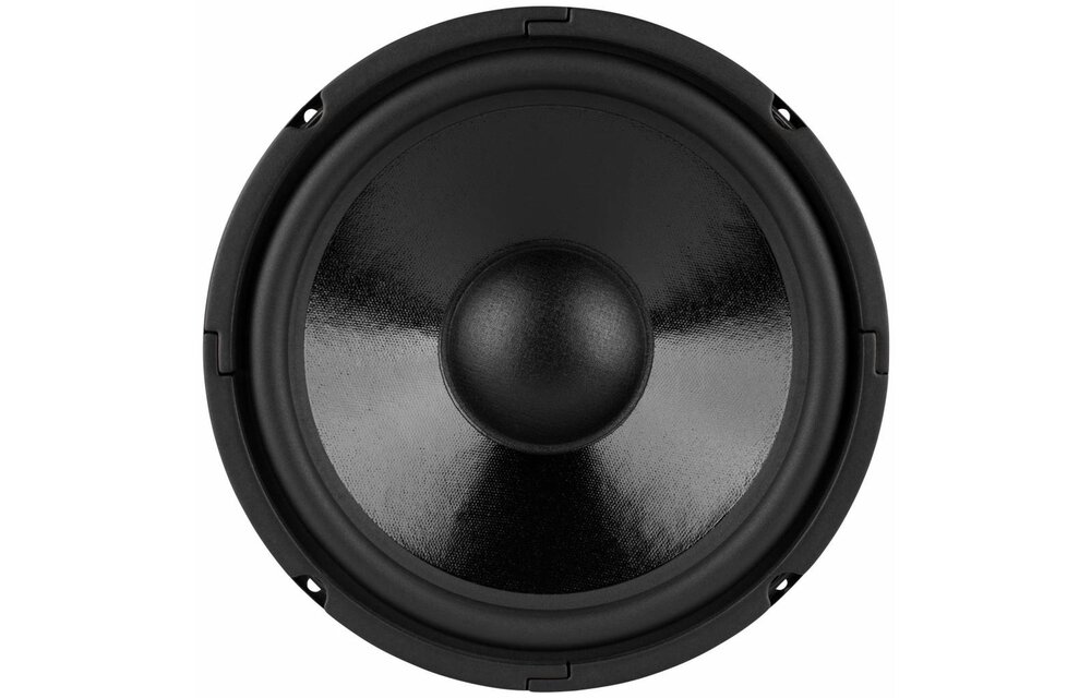 DC250-8 10" Classic Woofer