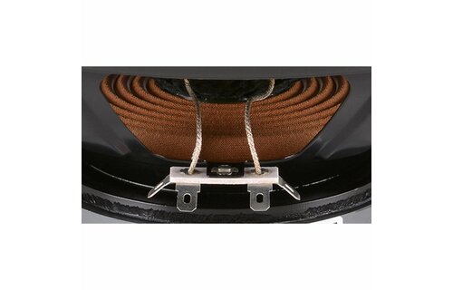 DC250-8 10" Classic Woofer