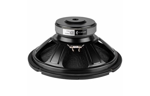 DC250-8 10" Classic Woofer