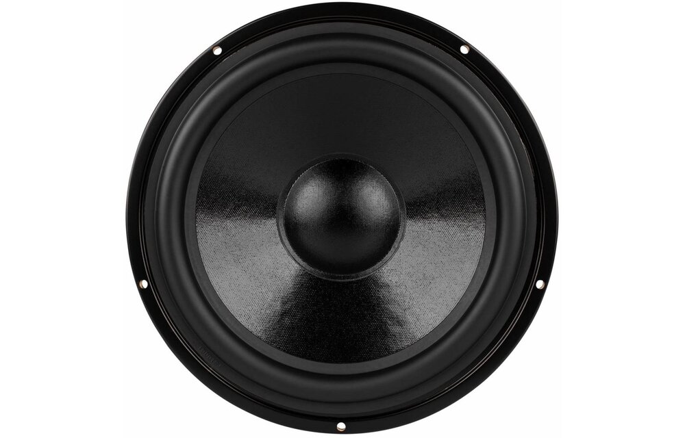 DS270-8 10" Designer Series Woofer Speaker